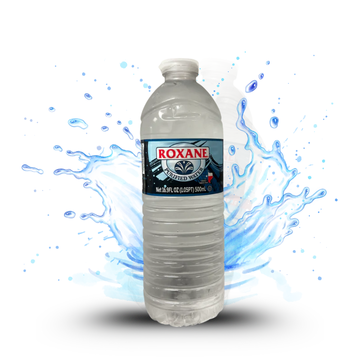 24pk 16.9oz Casepack Water