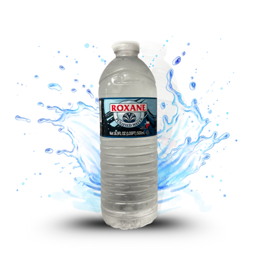 24pk 16.9oz Casepack Water