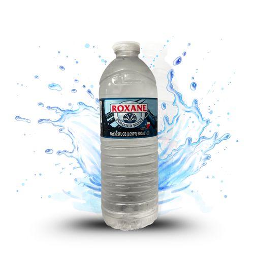 24pk 16.9oz Casepack Water