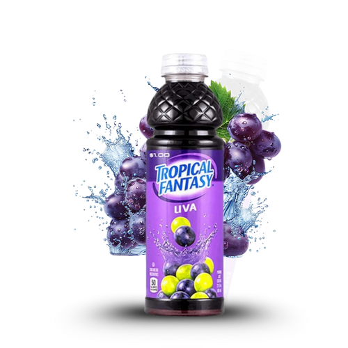 22.5oz Tropical Fantasy 24pk
